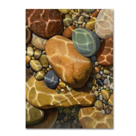 Trademark Fine Art Stephen Stavast 'Trip the Light Fantastic' Canvas Art, 35x47 ALI0748-C3547GG